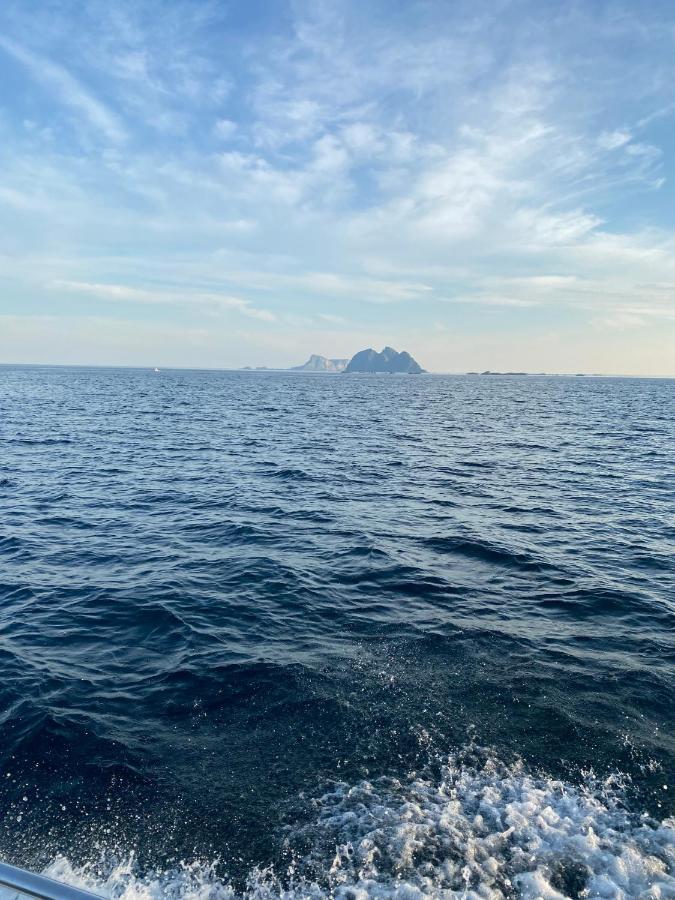 High End Sea At A In Lofoten Apartment